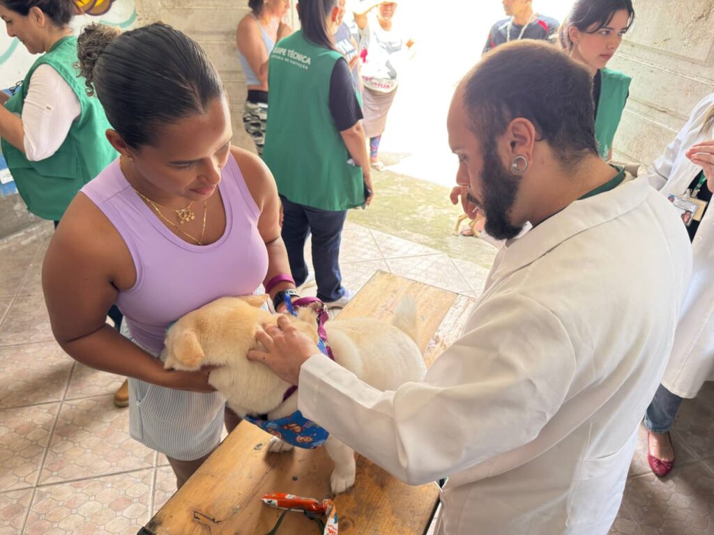 Microchip, vacina e nova casa: Prefeitura prepara pets do Núcleo Mantiqueira para mudança
