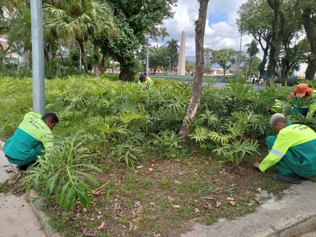 Zeladoria avança em Cubatão com melhorias em ruas, escolas e calçadas