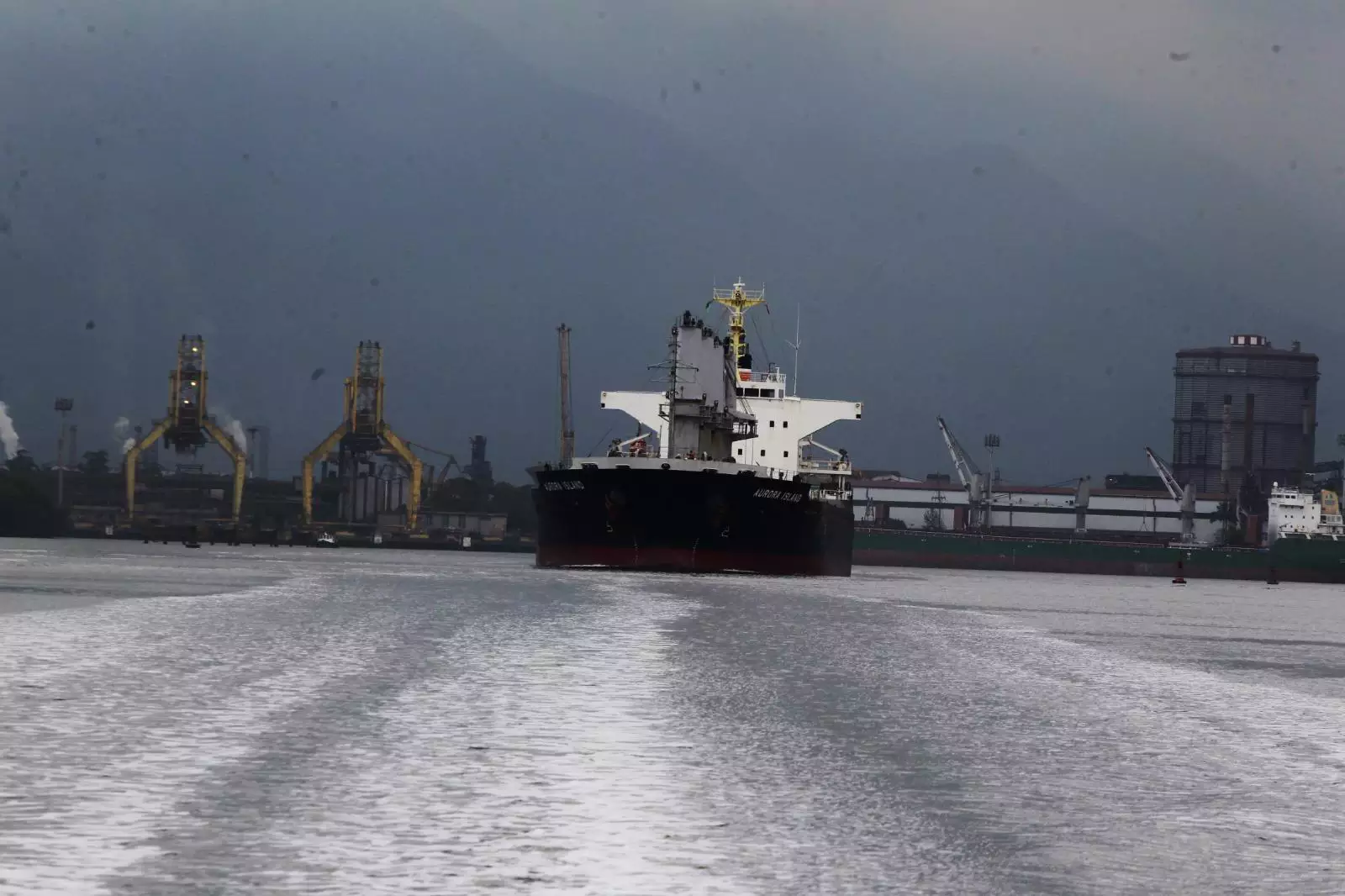 Terminal privado em Cubatão? Área da Usiminas volta à pauta em debate com Governo de SP