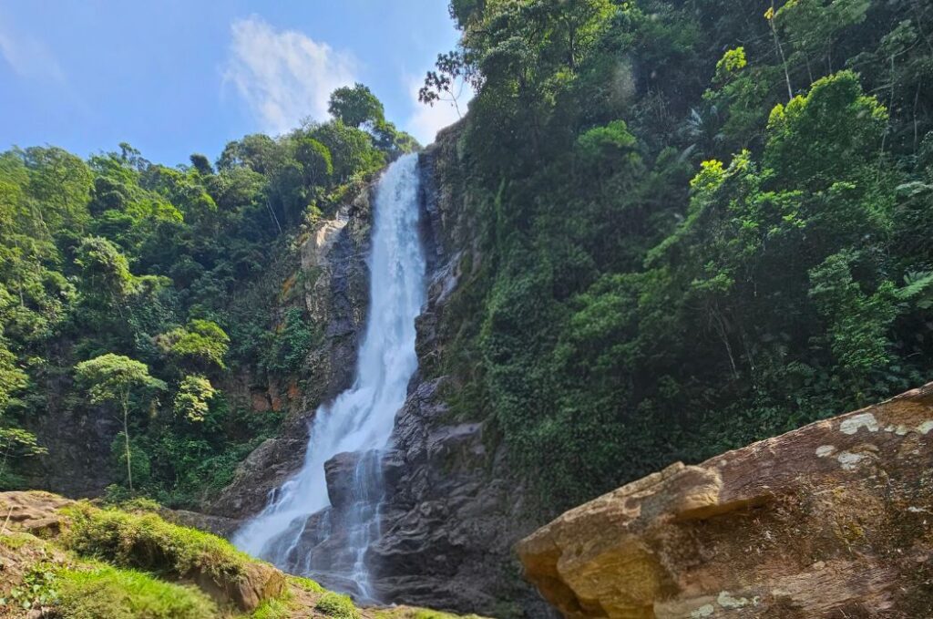 Cubatão se consolida como referência mundial e é novamente reconhecida como “Cidade Verde do Mundo”