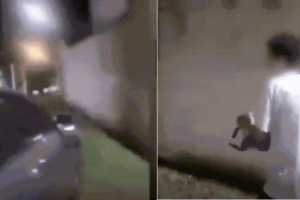 Jovem é investigado após jogar gato em canal em Praia Grande