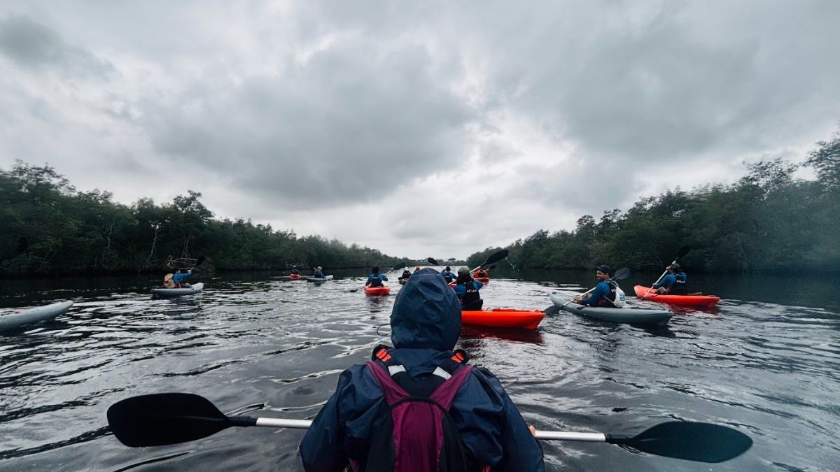 Jovens de todo o Brasil vivem imersão ambiental no manguezal de Cubatão
