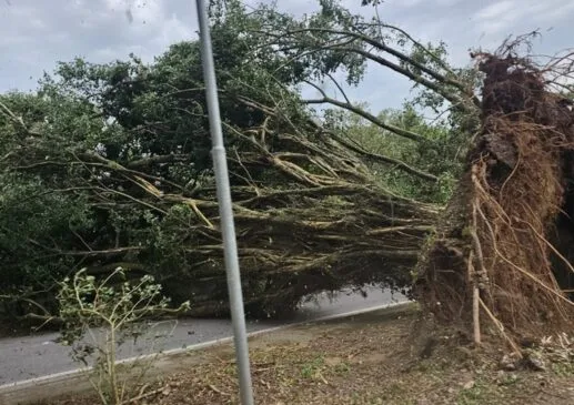Ventos fortes bloqueiam trecho da Avenida Tancredo Neves em Cubatão