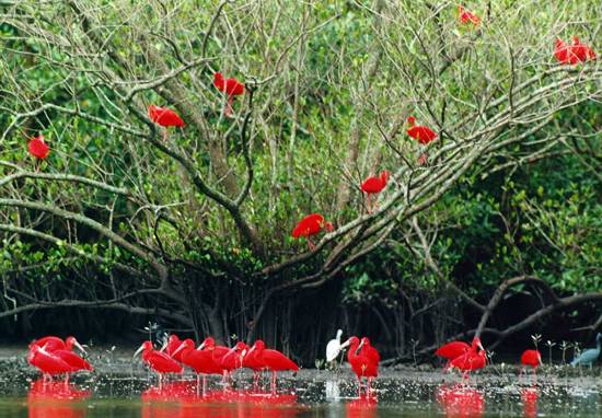 Cubatão promove Semana da Educação com foco em meio ambiente e território