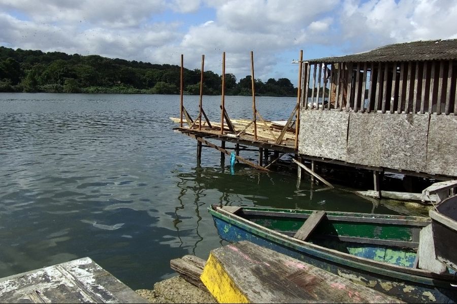 Corpo de recém-nascido é encontrado em área de mangue na Vila dos Pescadores, em Cubatão