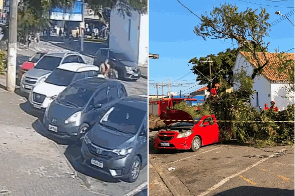 Árvore cai sobre veículo e provoca momentos de desespero em família em Itanhaém