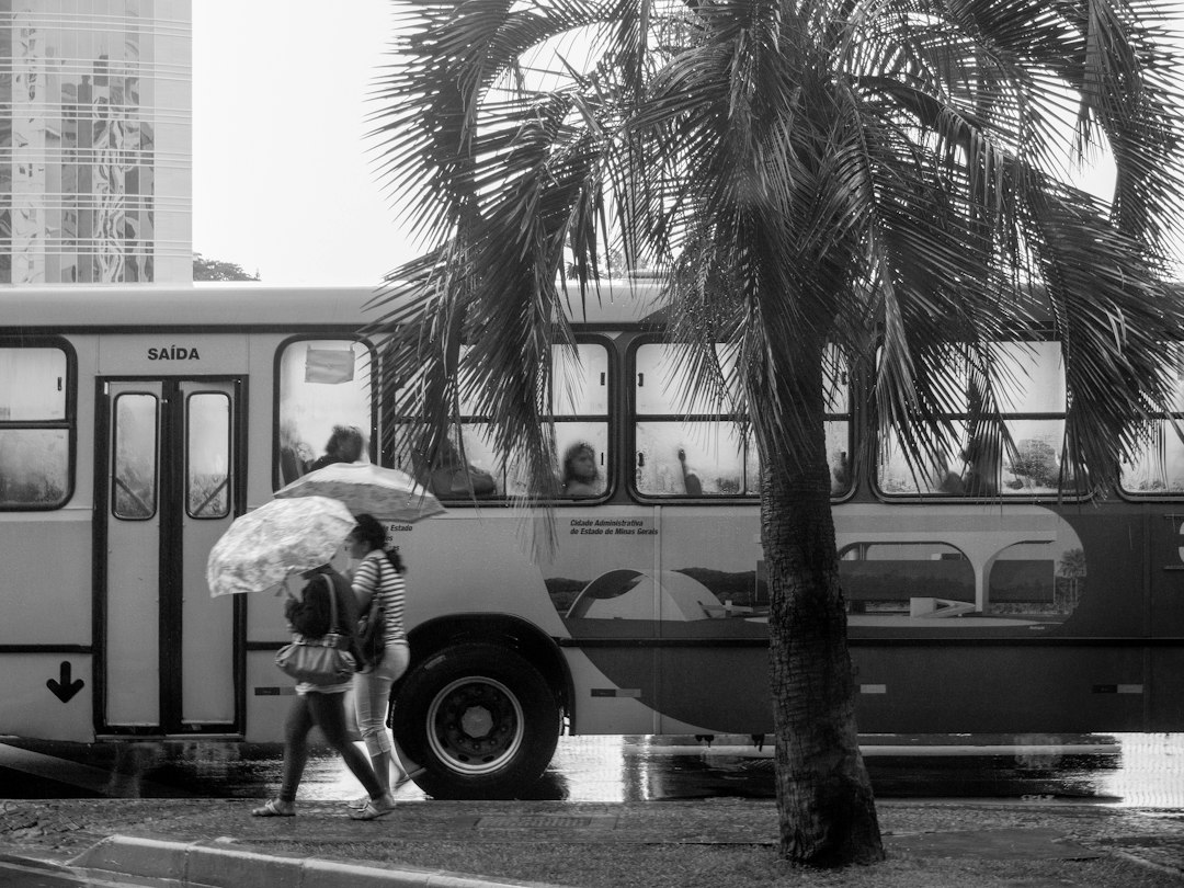 Pessoa com guarda-chuva em dia de chuva. Foto: Gustavo Nacht/Unsplash